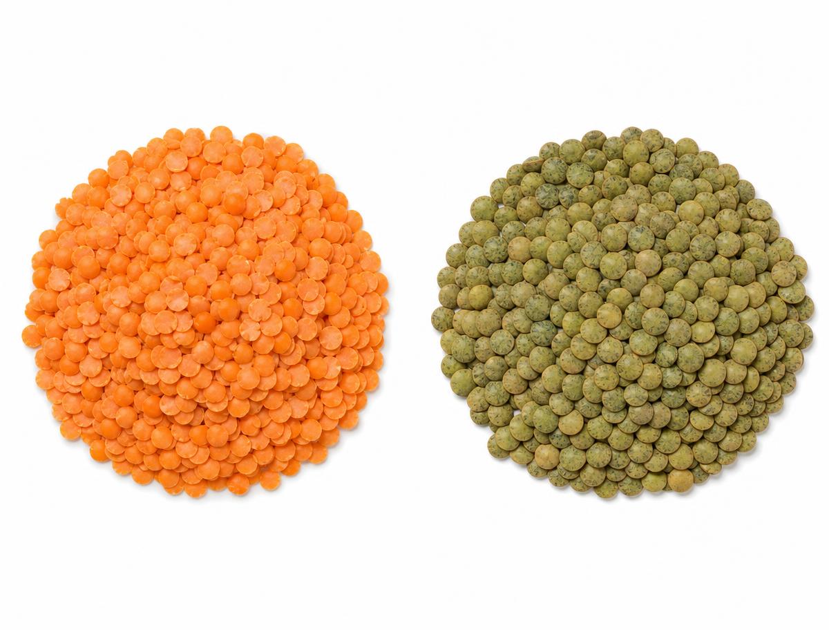 Split red lentils and whole green lentils in two separate heaps on a white studio background