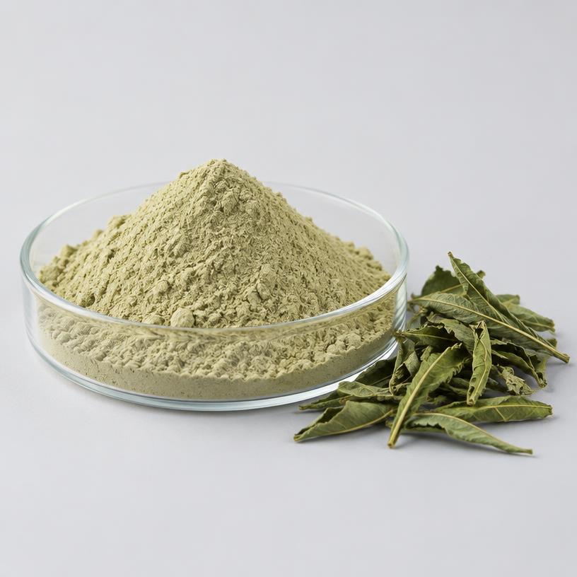 Andrographis Paniculata Extract — Supplement Grade — studio photograph of fine extract powder, presented as a B2B sourcing category illustration
