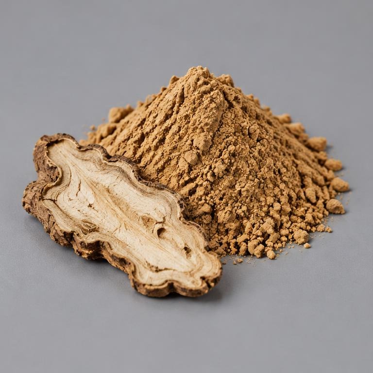 Angelica Polymorpha Sinensis Root Extract — studio illustration of format confirmed at quotation for specification-led B2B sourcing review