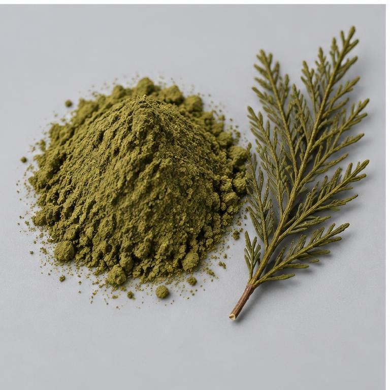 Biota Orientalis Leaf Extract — studio illustration of format confirmed at quotation for specification-led B2B sourcing review