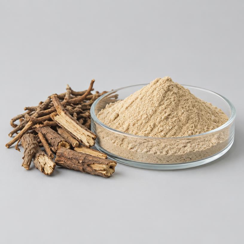 Butcher's Broom Extract — Supplement Grade — studio photograph of fine extract powder, presented as a B2B sourcing category illustration