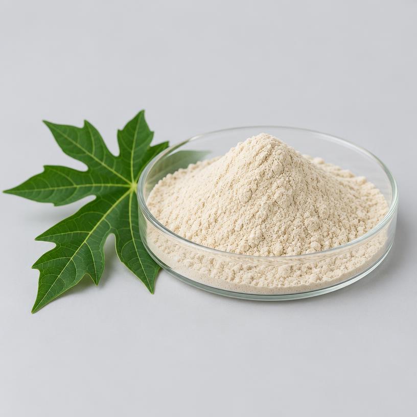 Carica Papaya Extract — Supplement Grade — studio photograph of fine extract powder, presented as a B2B sourcing category illustration