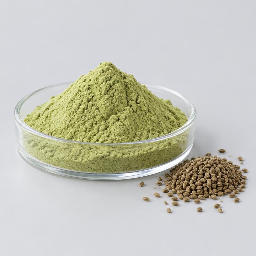 Celery Extract — Supplement Grade — studio photograph of fine extract powder, presented as a B2B sourcing category illustration