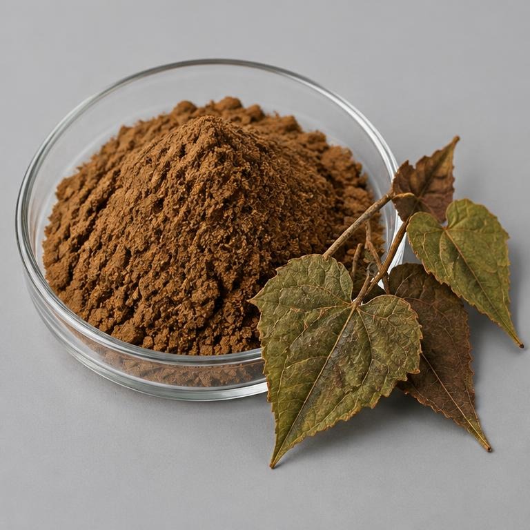 Epimedium Koreanum Extract — studio illustration of format confirmed at quotation for specification-led B2B sourcing review
