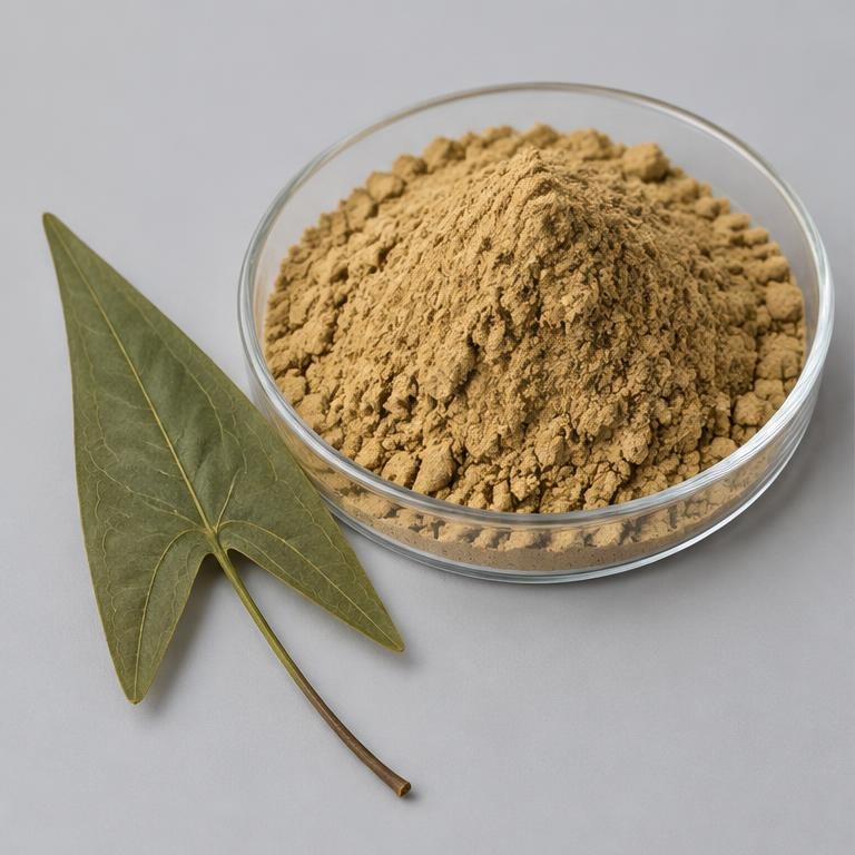 Epimedium Sagittatum Extract — studio illustration of format confirmed at quotation for specification-led B2B sourcing review