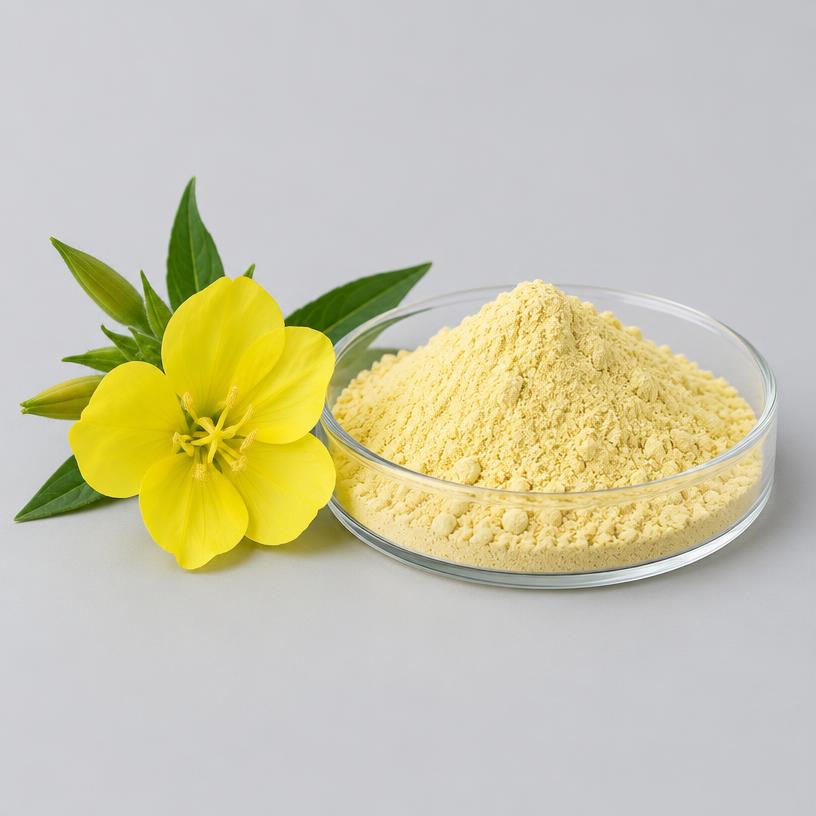 Evening Primrose Extract — Supplement Grade — studio photograph of fine extract powder, presented as a B2B sourcing category illustration