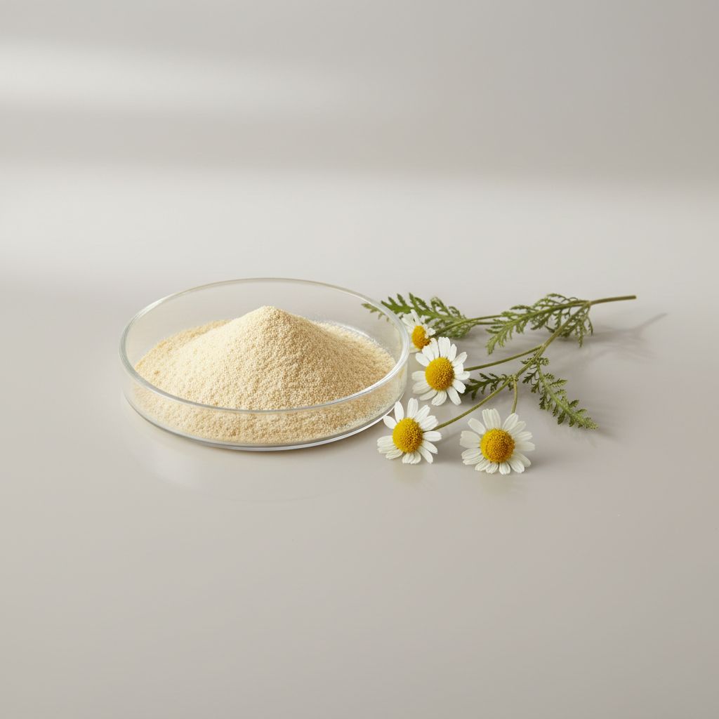Illustrative studio sample of Feverfew Extract beside Tanacetum parthenium source material