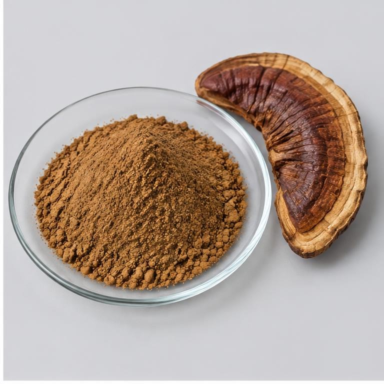Ganoderma Sinensis Extract — studio illustration of format confirmed at quotation for specification-led B2B sourcing review