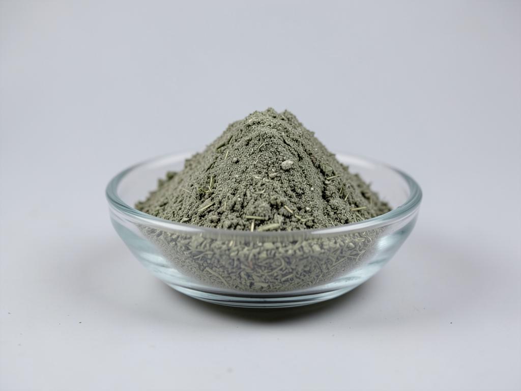 Horsetail Powder shown as a dried milled botanical powder in a shallow dish in a neutral studio photograph
