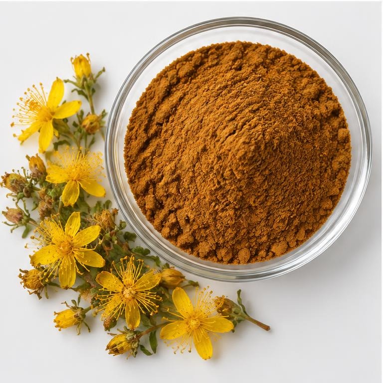 Hypericum Perforatum Extract — studio illustration of format confirmed at quotation for specification-led B2B sourcing review