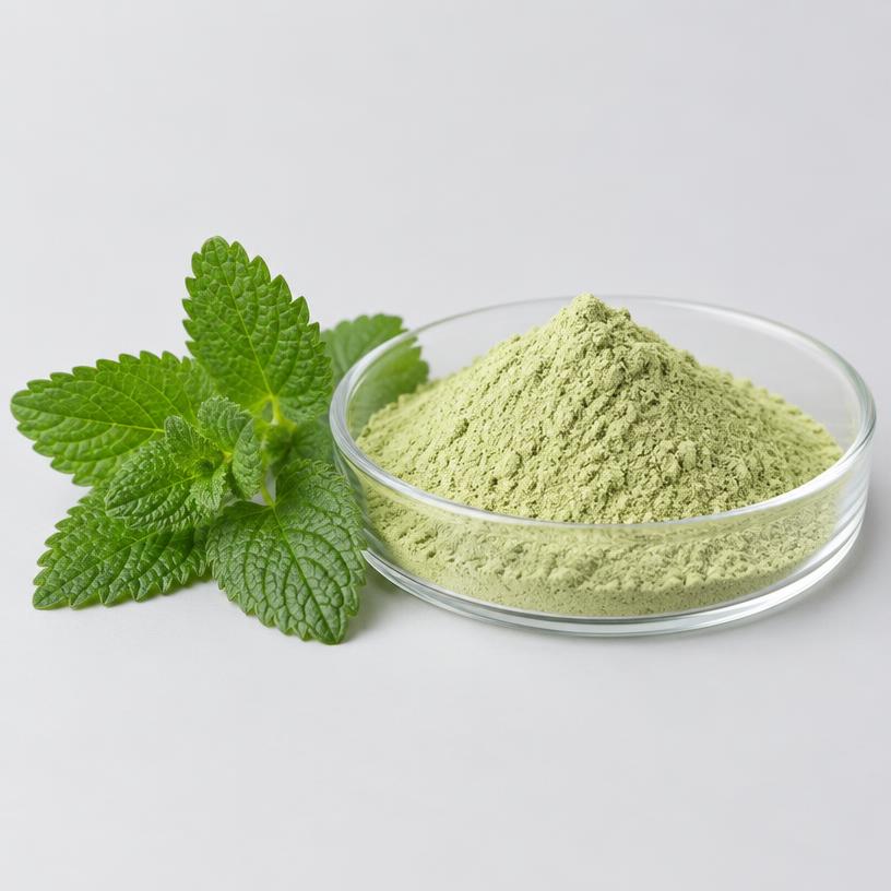 Lemon Balm Leaf Extract — Supplement Grade — studio photograph of fine extract powder, presented as a B2B sourcing category illustration