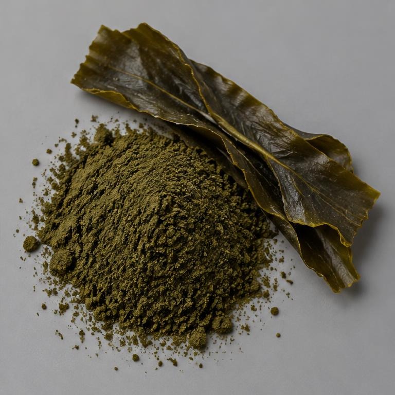 Macrocystis Pyrifera (Kelp) Extract — studio illustration of format confirmed at quotation for specification-led B2B sourcing review