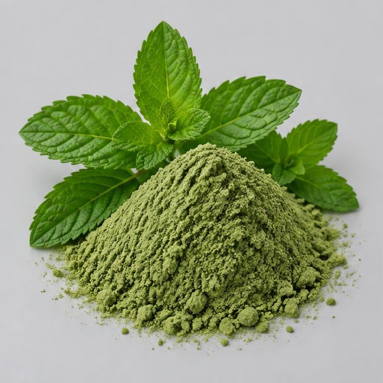 Mentha Haplocalyx Extract — studio illustration of format confirmed at quotation for specification-led B2B sourcing review