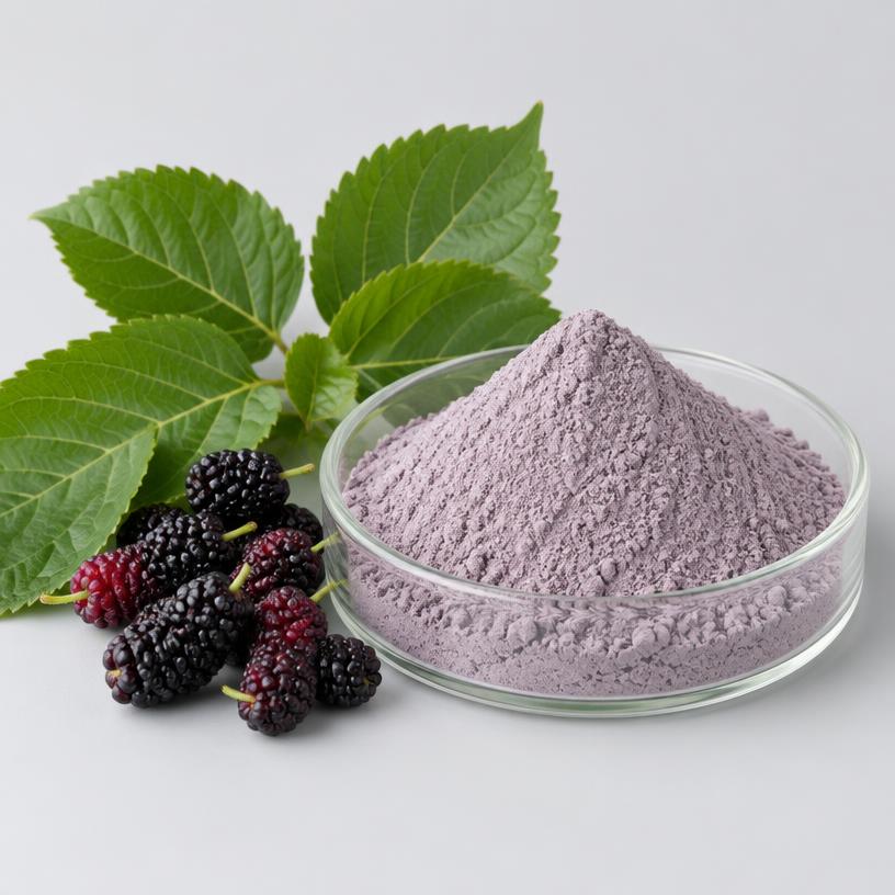 Mulberry Extract — Supplement Grade — studio photograph of fine extract powder, presented as a B2B sourcing category illustration
