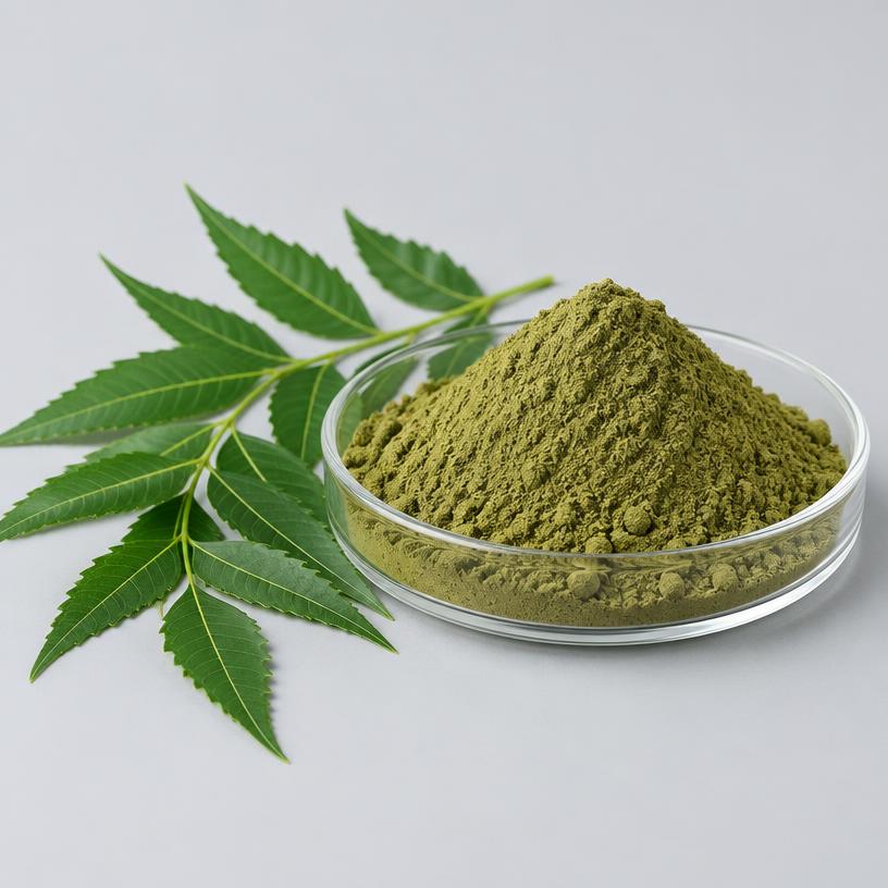 Neem Extract — Supplement Grade — studio photograph of fine extract powder, presented as a B2B sourcing category illustration