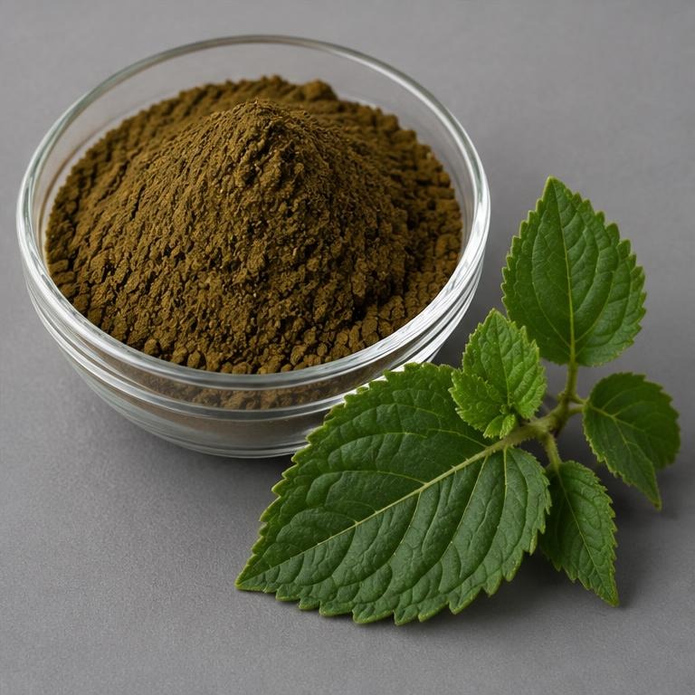 Pogostemon Cablin Leaf Extract — studio illustration of format confirmed at quotation for specification-led B2B sourcing review