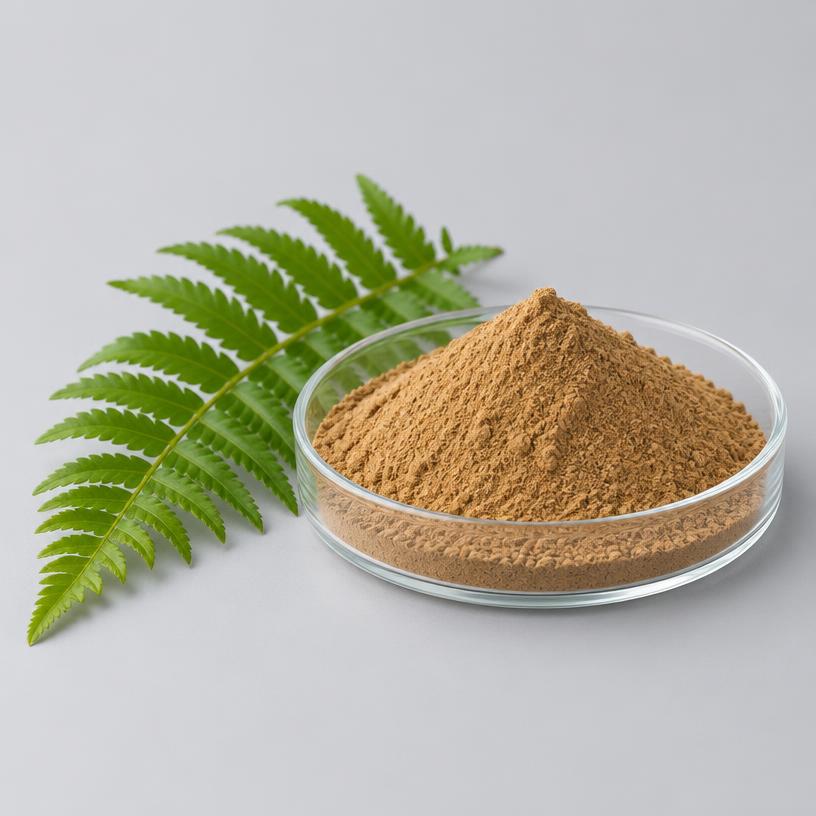 Polypodium Leucotomos Extract — Supplement Grade — studio photograph of fine extract powder, presented as a B2B sourcing category illustration