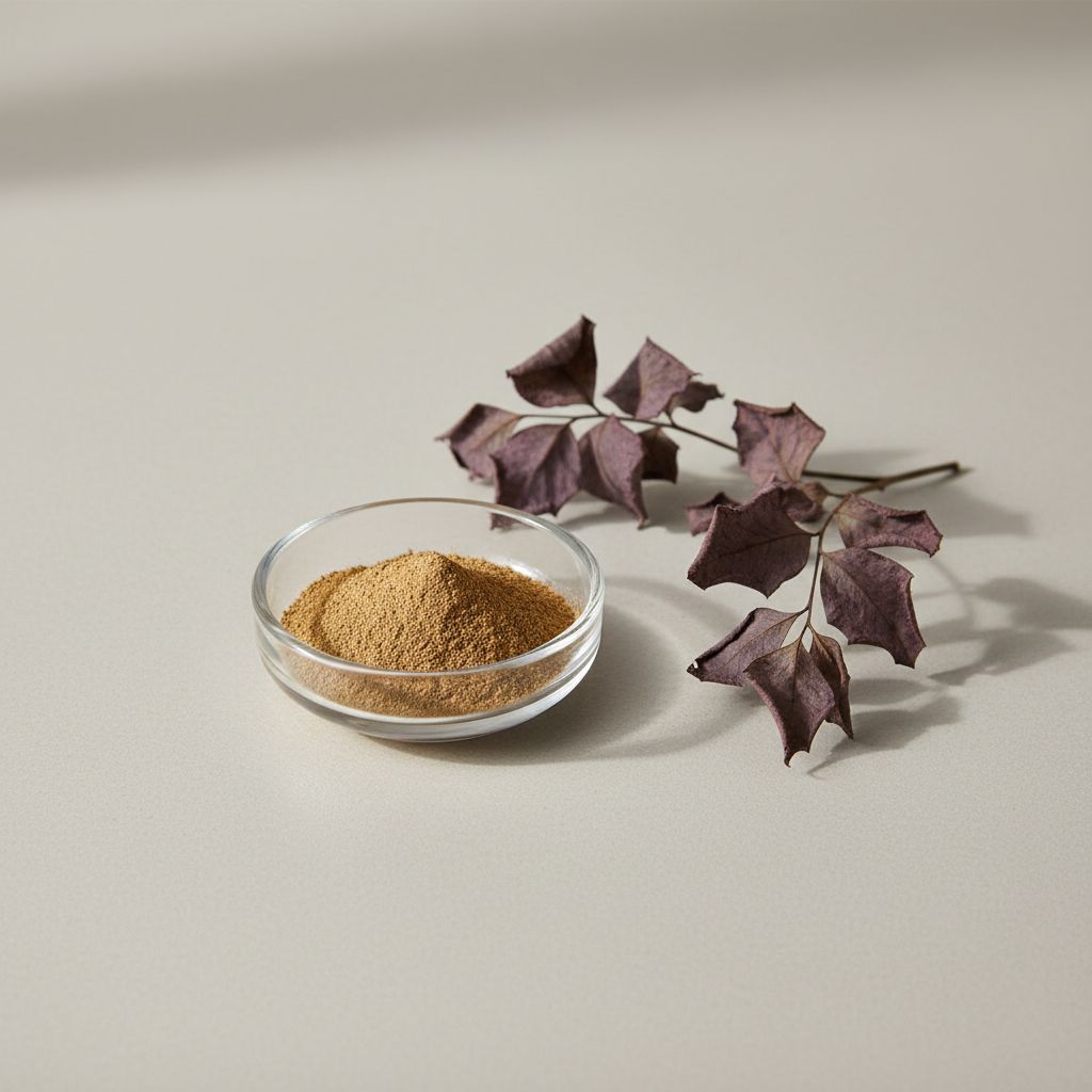 Illustrative studio sample of Smoketree Extract beside Cotinus coggygria source material