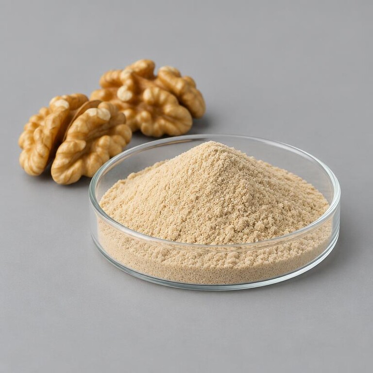 Illustrative studio sample of warm cream Walnut Peptide powder beside walnut kernels
