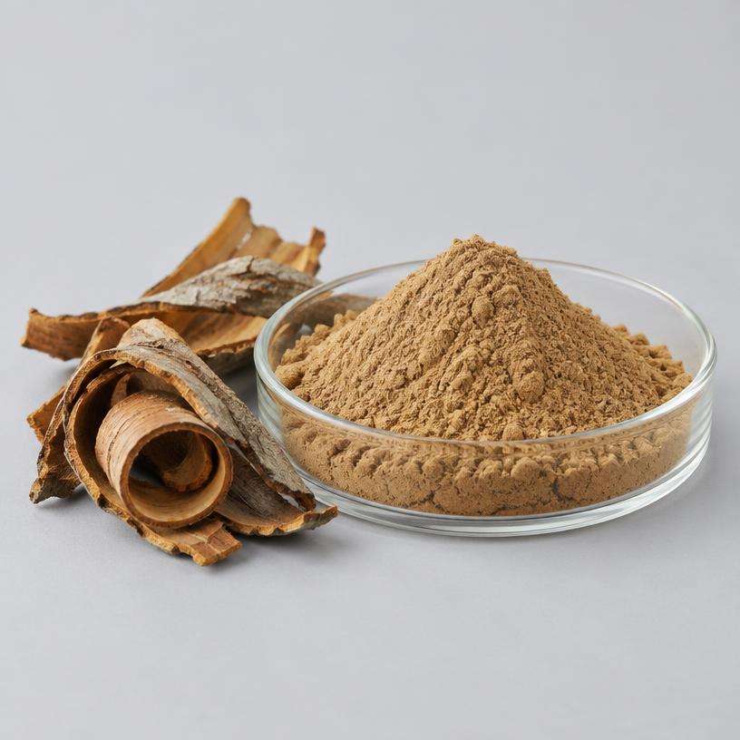 Willow Bark Extract — Supplement Grade — studio photograph of fine extract powder, presented as a B2B sourcing category illustration